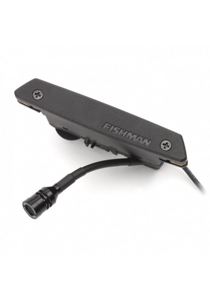 Fishman Rare Earth - E10