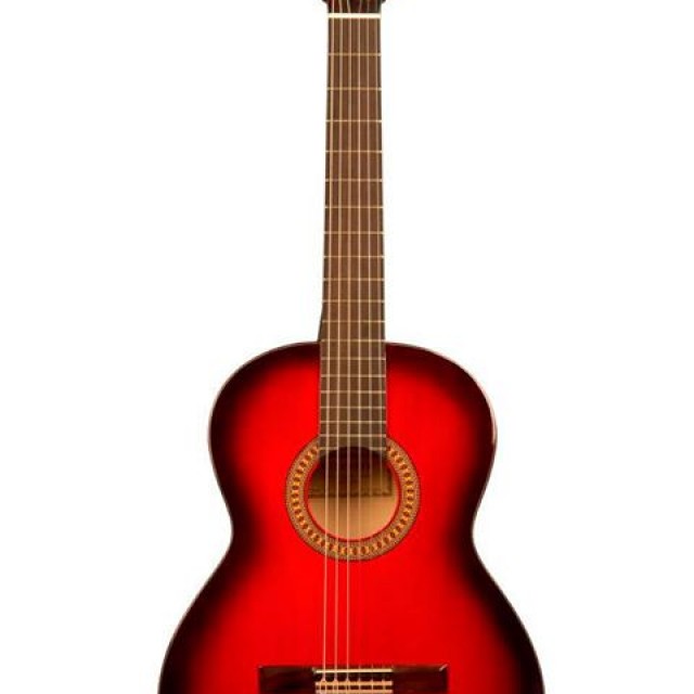 The left-handed guitarist: the challenge of playing the guitar with “the other hand”