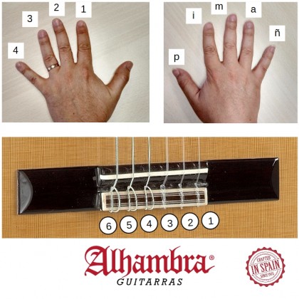 Aprender guitarra, la digitaci&oacute;n