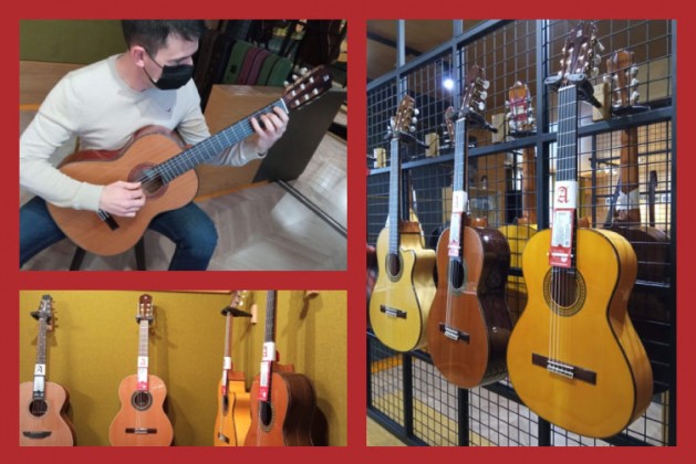 About guitar types and how to choose the right one