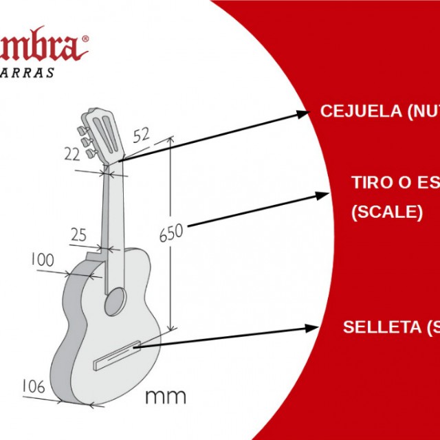 El guitarrista y las dimensiones de la guitarra española