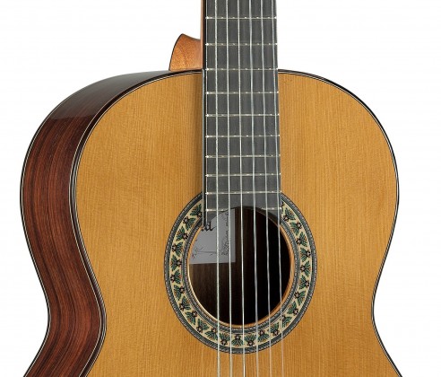 Semi-professional range, guitars for each guitarist
