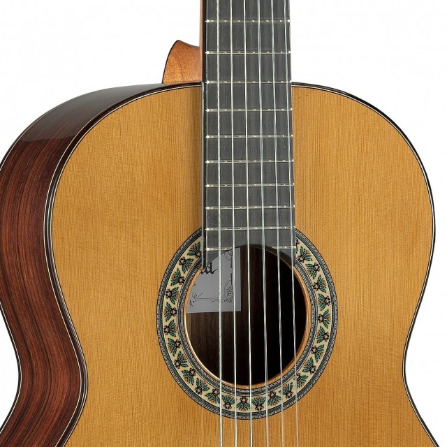 Gama semiprofesional, guitarras para cada guitarrista