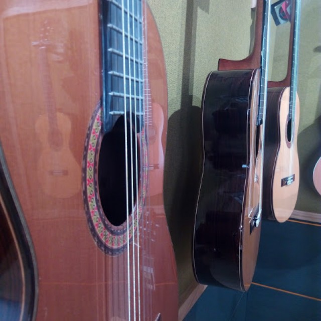 Guitarrista elige guitarra