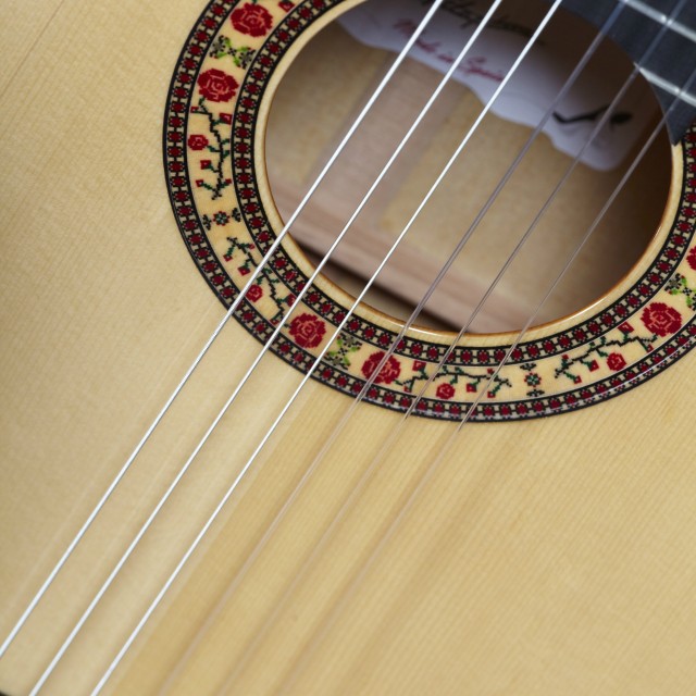 La humedad, el guitarrista y la Guitarra