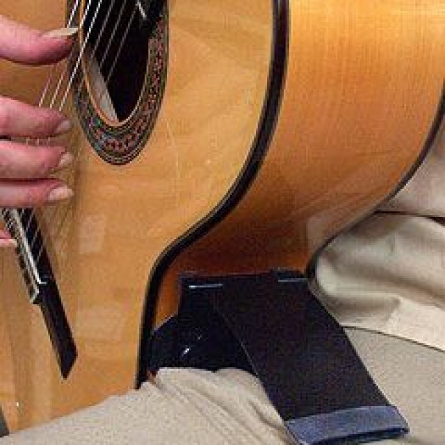 Los palos en la guitarra flamenca