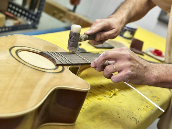 Parts of the guitar, the frets