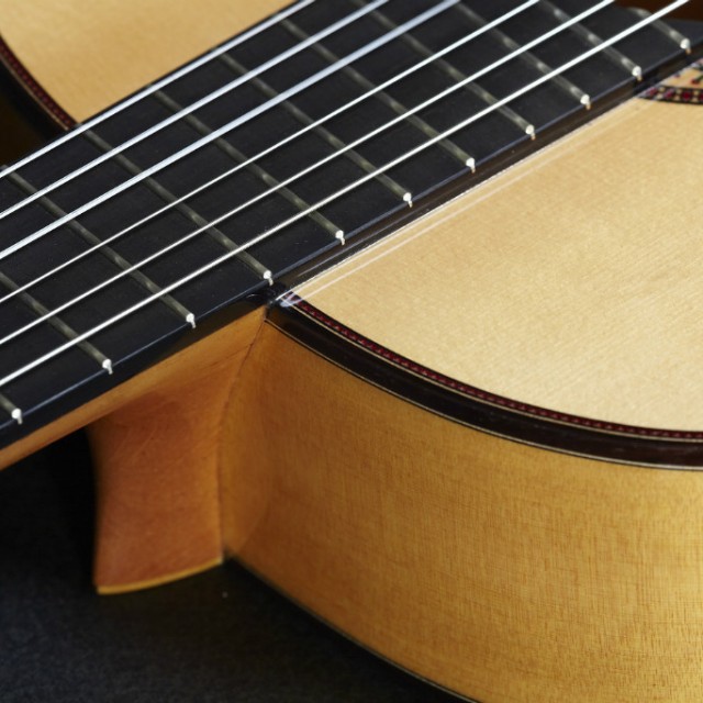 Partes de la guitarras: el diapasón