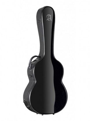 Holiday,trip, case and the guitar
