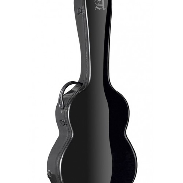 Vacaciones, viaje, estuche y la guitarra